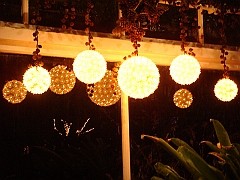 090 Toledo Zoo Light Show [2008 Dec 27]